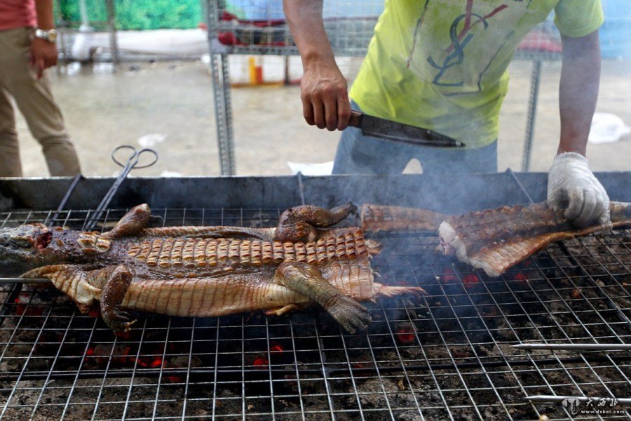 广西南宁美食节现“生烤鳄鱼” 整条烤熟切开吃（图）