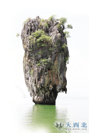 普吉岛旅游“代言人”——“大白菜”