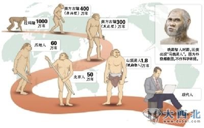 人类进化过程示意图