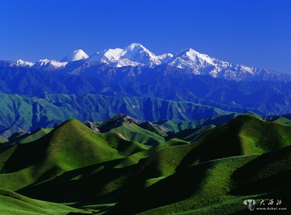 东天山古伊州