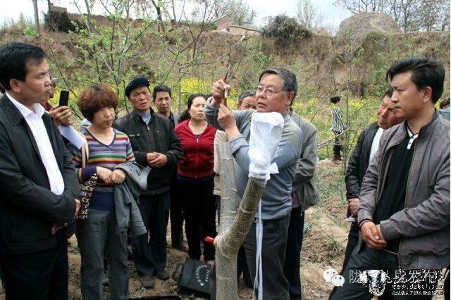 陇南礼县：小核桃走上农民致富大舞台