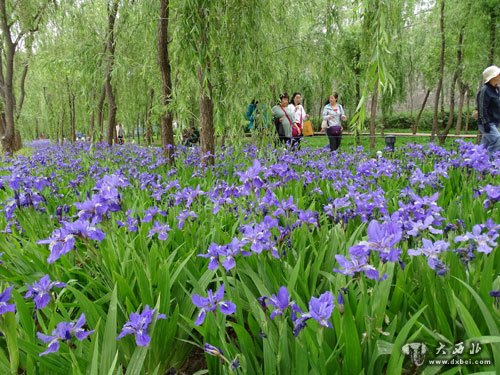 黄河步道景色美