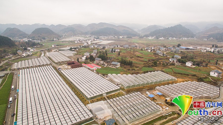 俯瞰花茂村，连片的智能温控大棚成为当地拉动经济、促进就业的强劲动力