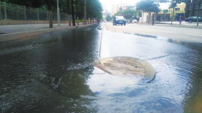 下水井泛水臭了整条街