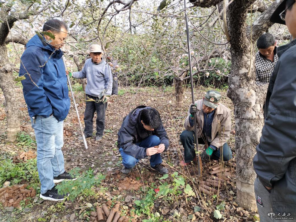 殷墟商王陵区新发现围