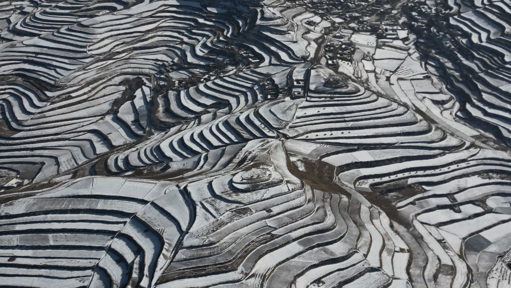 陇原瑞雪迎春尽显北国风光