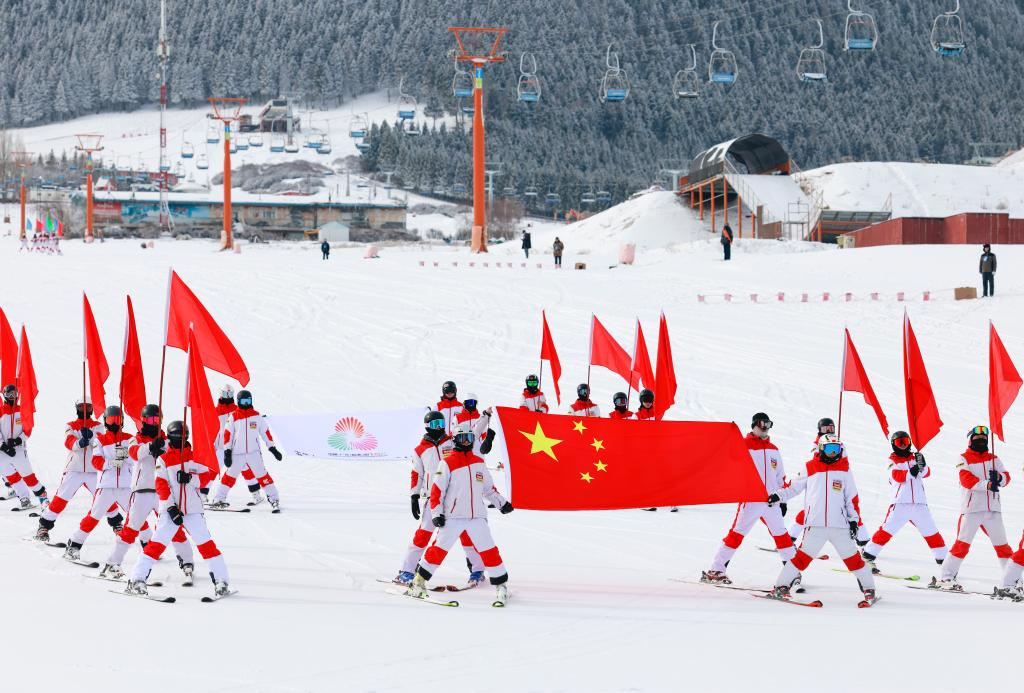 全国残特奥会高山滑雪